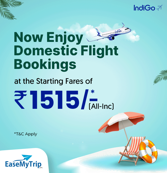 indigo Offer